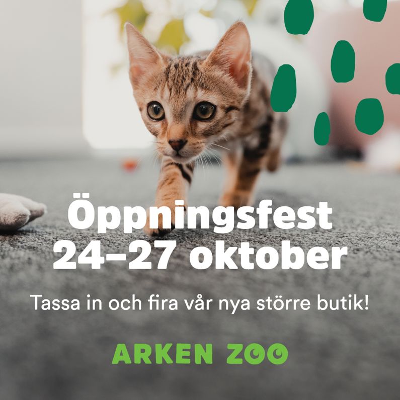 Arken Zoo